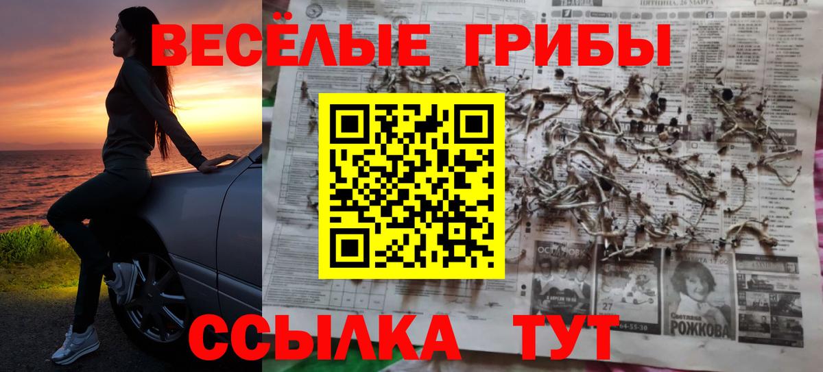 Ипатово  Псилоцибиновые грибы прущие грибы  Вход с VPN 